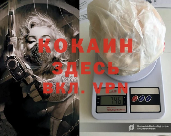 стафф Алексин