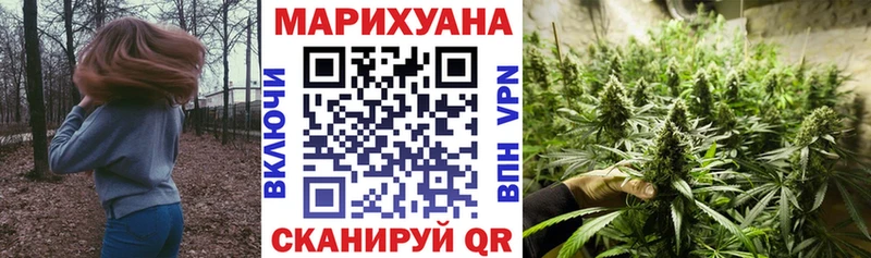 Бошки марихуана OG Kush  мориарти состав  Кяхта 